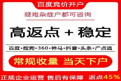 高效SEM托管公司案例对比分析